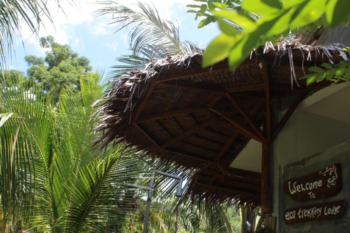 Eco Trekking Lodge, Bar & Jungle Tour'S Bukit Lawang Exterior photo